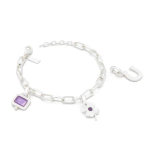 Interchangeable Charm Bracelet - Amethyst/ Silver
