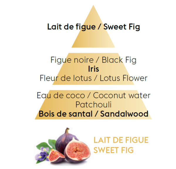 sweet fig scent pyramid TOP NOTES Sweet fig HEART NOTES Black fig, Iris, Lotus flower BASE NOTES Coconut water, Patchouli, Sandalwood
