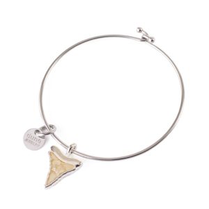 shark tooth bangle bracelet handmade in the USA by dune jewelry