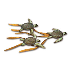 Baby Sea Turtle In Kelp