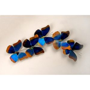 Blue Morpho Butterfly Group of 5
