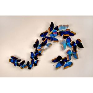 BlueBlue and Tan Morpho Butterfly Group Large S Shape
