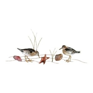 Sandpipers (2) with Seashells